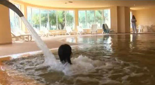Zephir Hotel & Spa Zarzis Eksteriør bilde